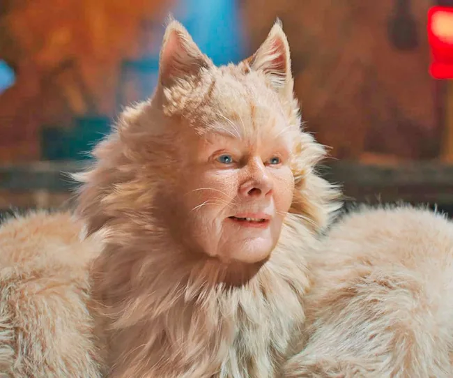 in the musical Cats
