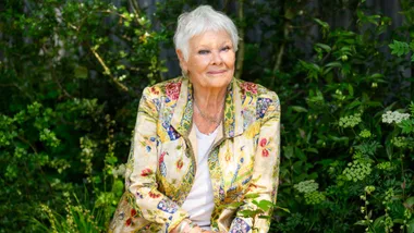 Judi Dench sitting in front of a bush