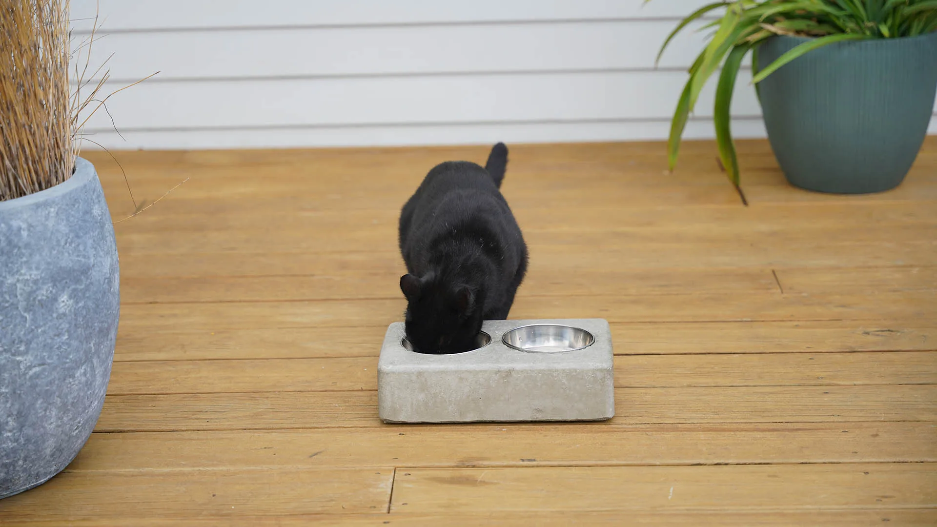 Concrete pet food bowls
