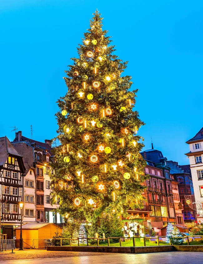 A Christmas tree lit up in France