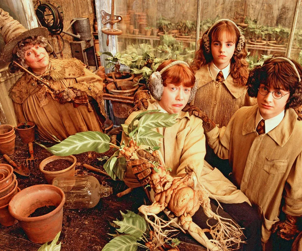 Miriam Margolyes with co-stars in Harry Potter