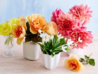 Flowers that last longer in little pots on a bench