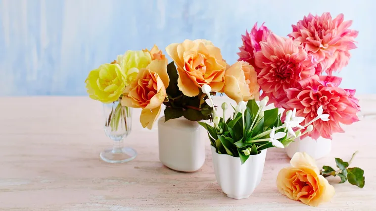 Flowers that last longer in little pots on a bench