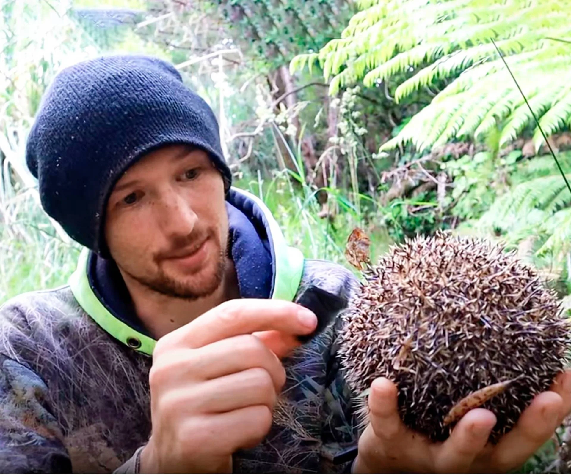 Shay Williamson holding a hedgehog