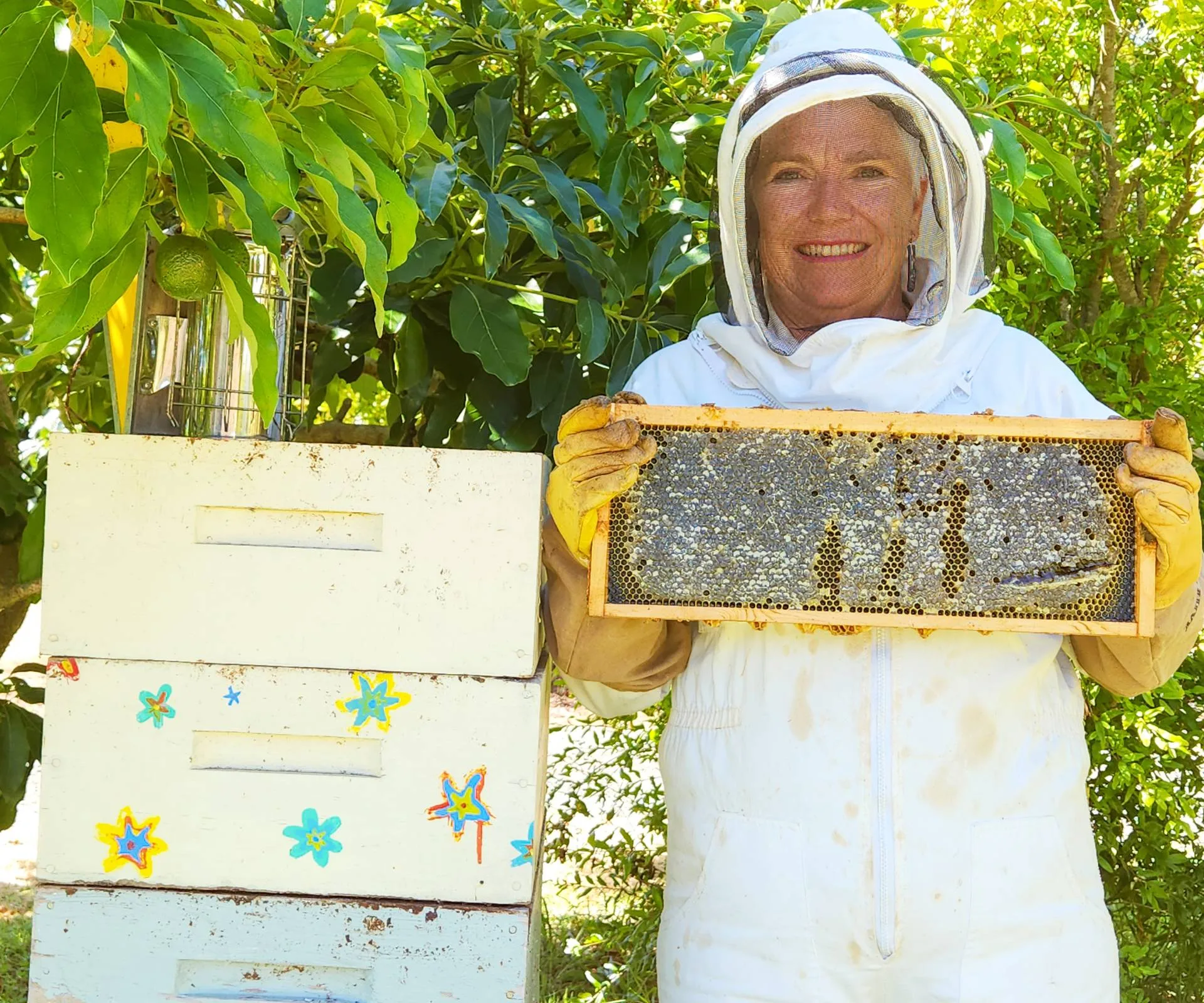 Josie Laird harvesting honey from her bees