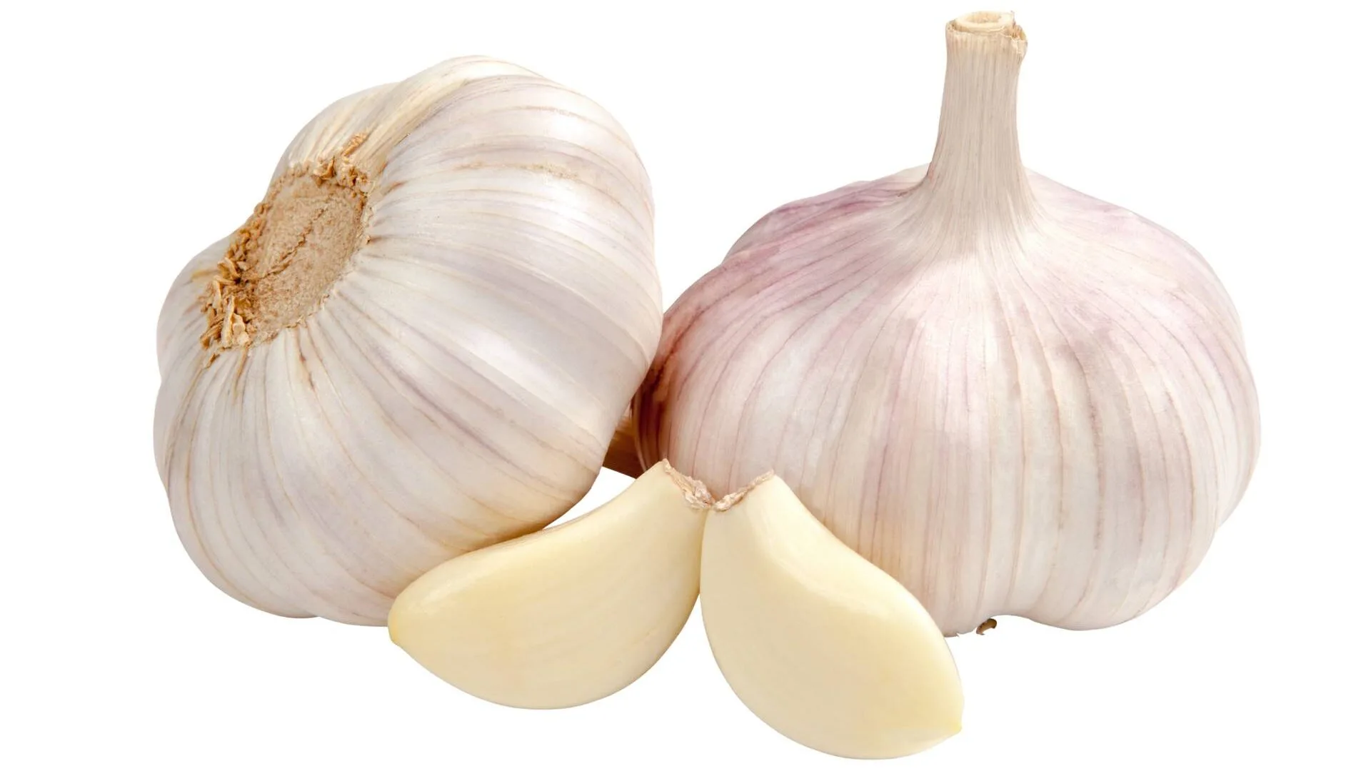 Two garlic bulbs with two cloves