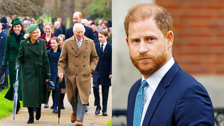 Prince Harry edited beside King Charles