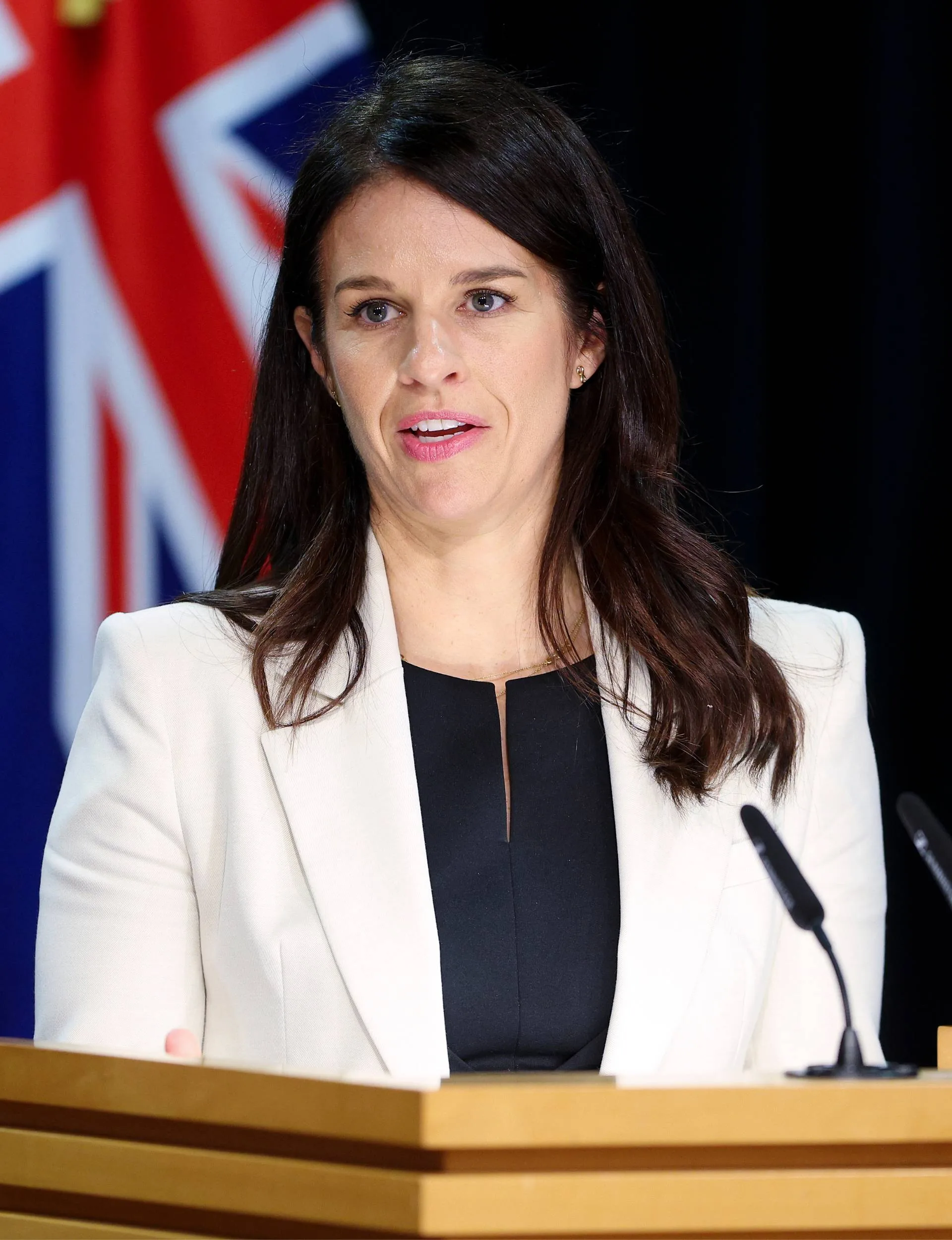 Erica Poppelbaum speaking at parliament