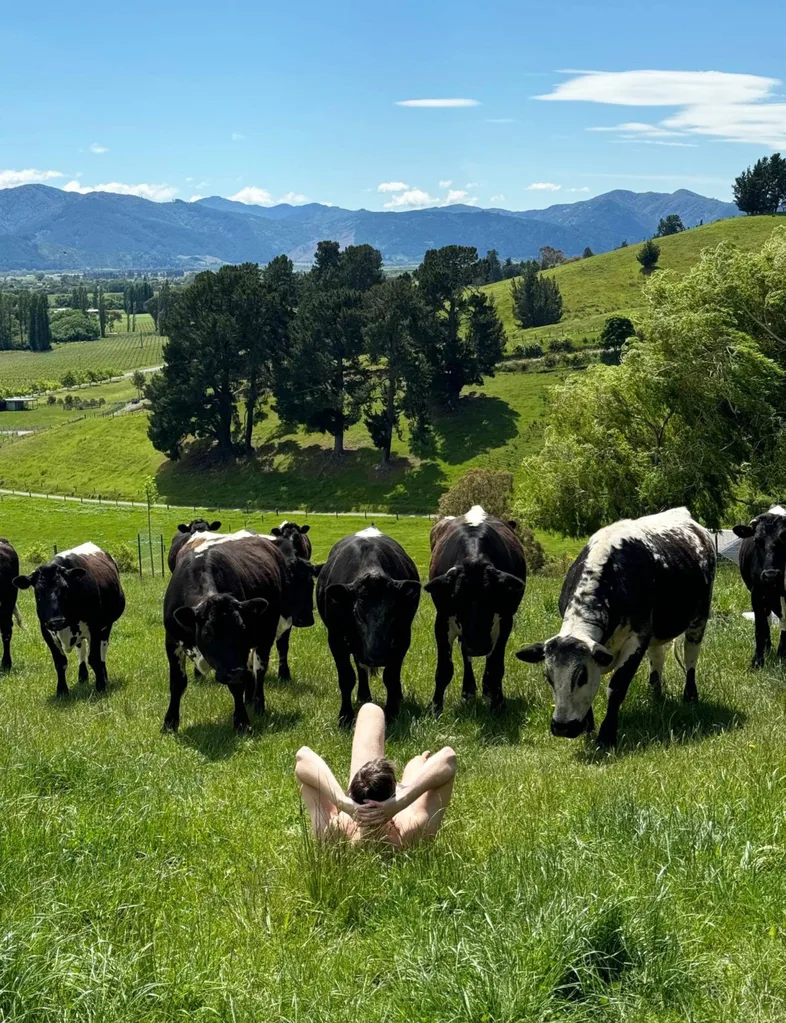 Jono in blenheim