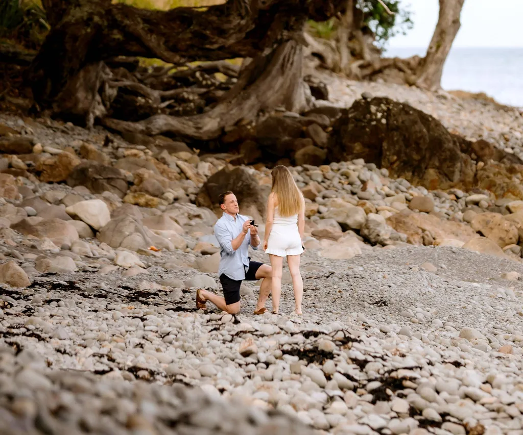 Brad proposing