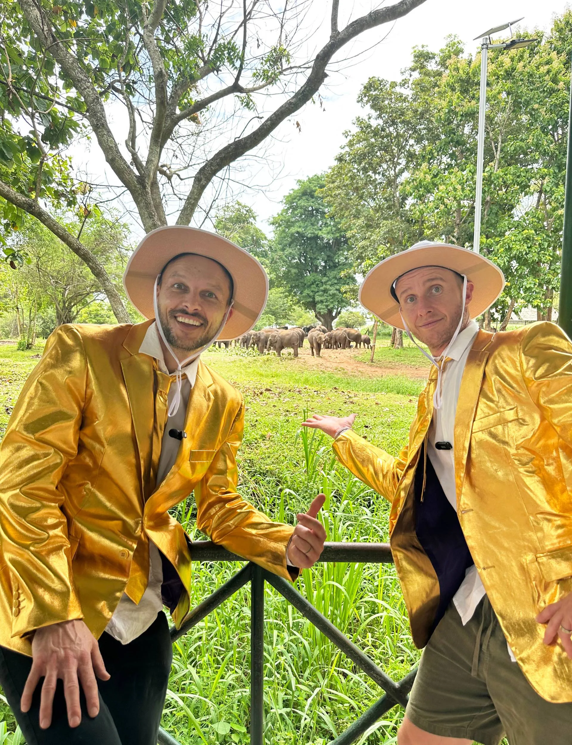jono and ben in gold suits by elephant
