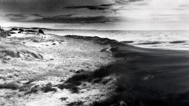 New revelations could solve 60-Year-old Beaumont children mystery