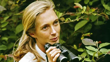 Remembering Dame Jane Goodall and her lasting impact on humanity