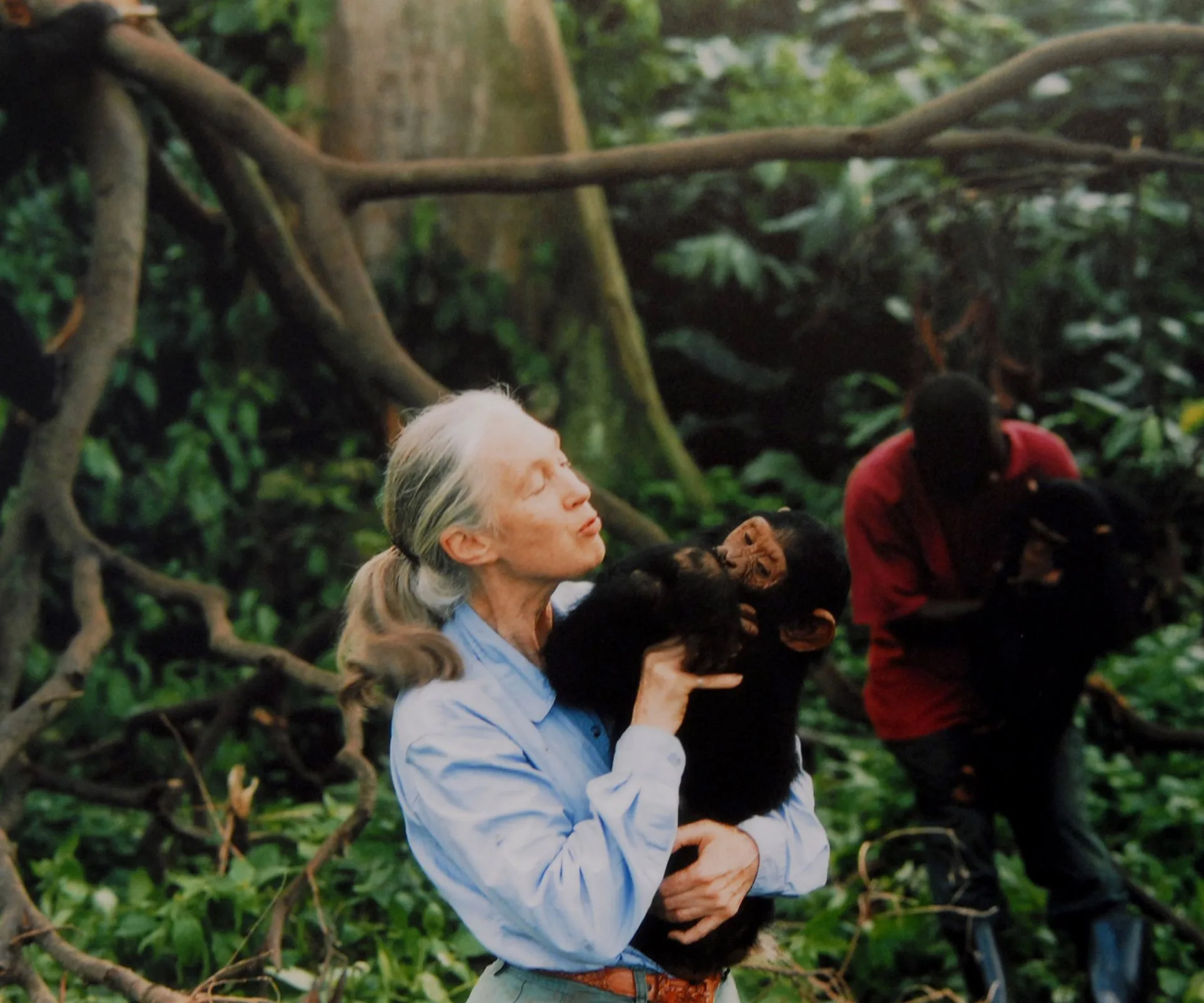 Dame Jane Goodall has passed away, aged 91