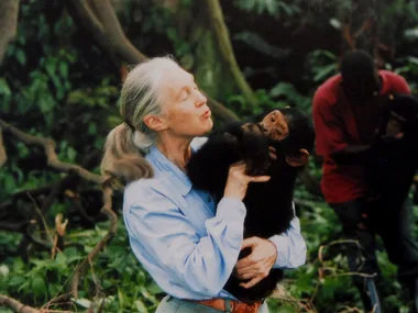 Dame Jane Goodall has passed away, aged 91