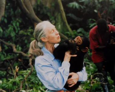 Dame Jane Goodall has passed away, aged 91