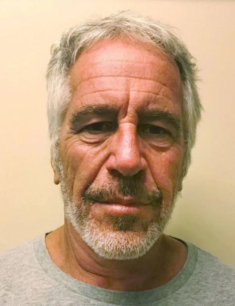 Jeffery Epstein mugshot