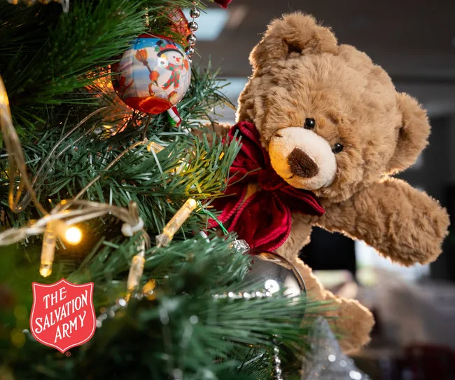 salvation army teddy bear on Xmas tree