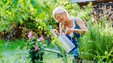 What to do in the garden this January