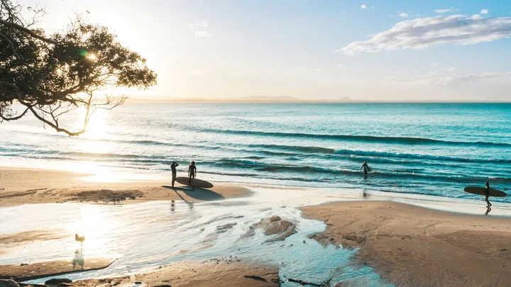 Your holiday’s booked! Kiwi writers share their must-read summer books