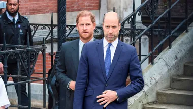 Prince William and Harry reunite amid Andrew Epstein scandal