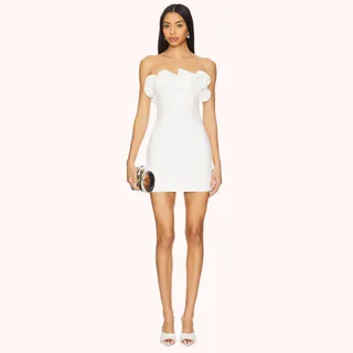 Revolve Cristina Mini Dress