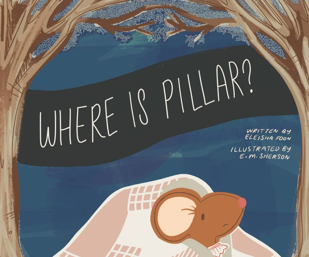 Where Is Pillar? How Eleisha Foon helps kids navigate grief