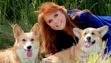 Questions raised over Fergie’s reported talks about the Queen’s corgis