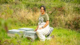 Rachel Stebbing on bees, family and building an all-women honey empire