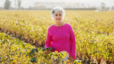 How Afsaneh Howey rebuilt her life in New Zealand after fleeing Iran