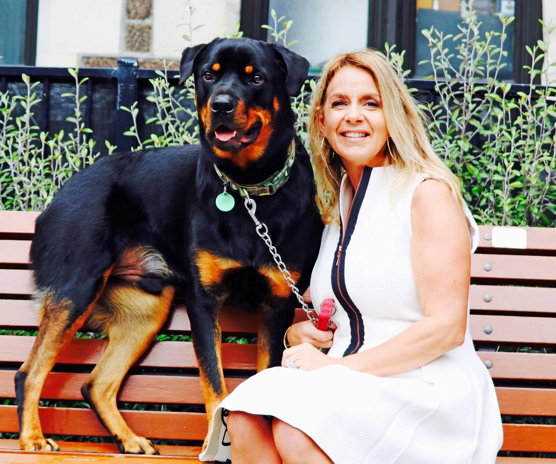How Tracy Austin’s Doggone reunites lost pets fast