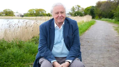 Sir David Attenborough turns 100: A century of nature and discovery
