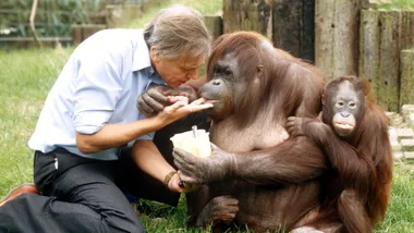 Sir David Attenborough celebrates 100th birthday with rare interview