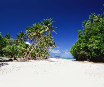 5 reasons to love Tonga