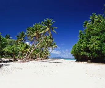 5 reasons to love Tonga
