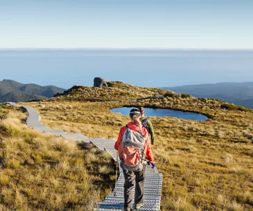 Tuatapere Hump Ridge Track