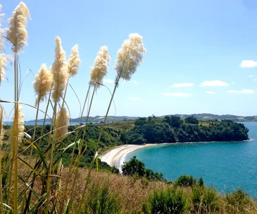 5 great islands in The Hauraki Gulf