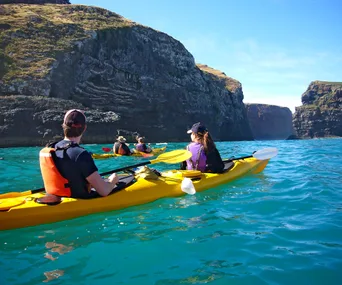 5 reasons to love Akaroa