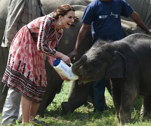 Duchess of Cambridge