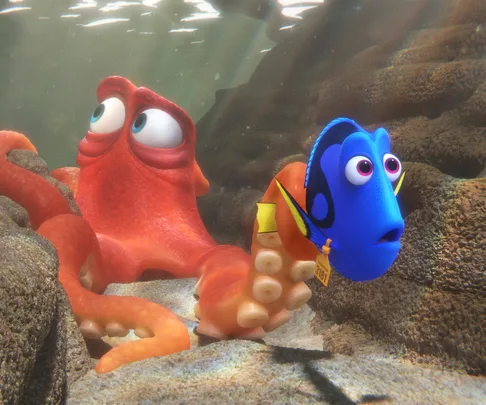 Finding Dory