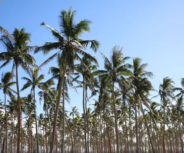 5 reasons Vanuatu is the perfect family holiday destination