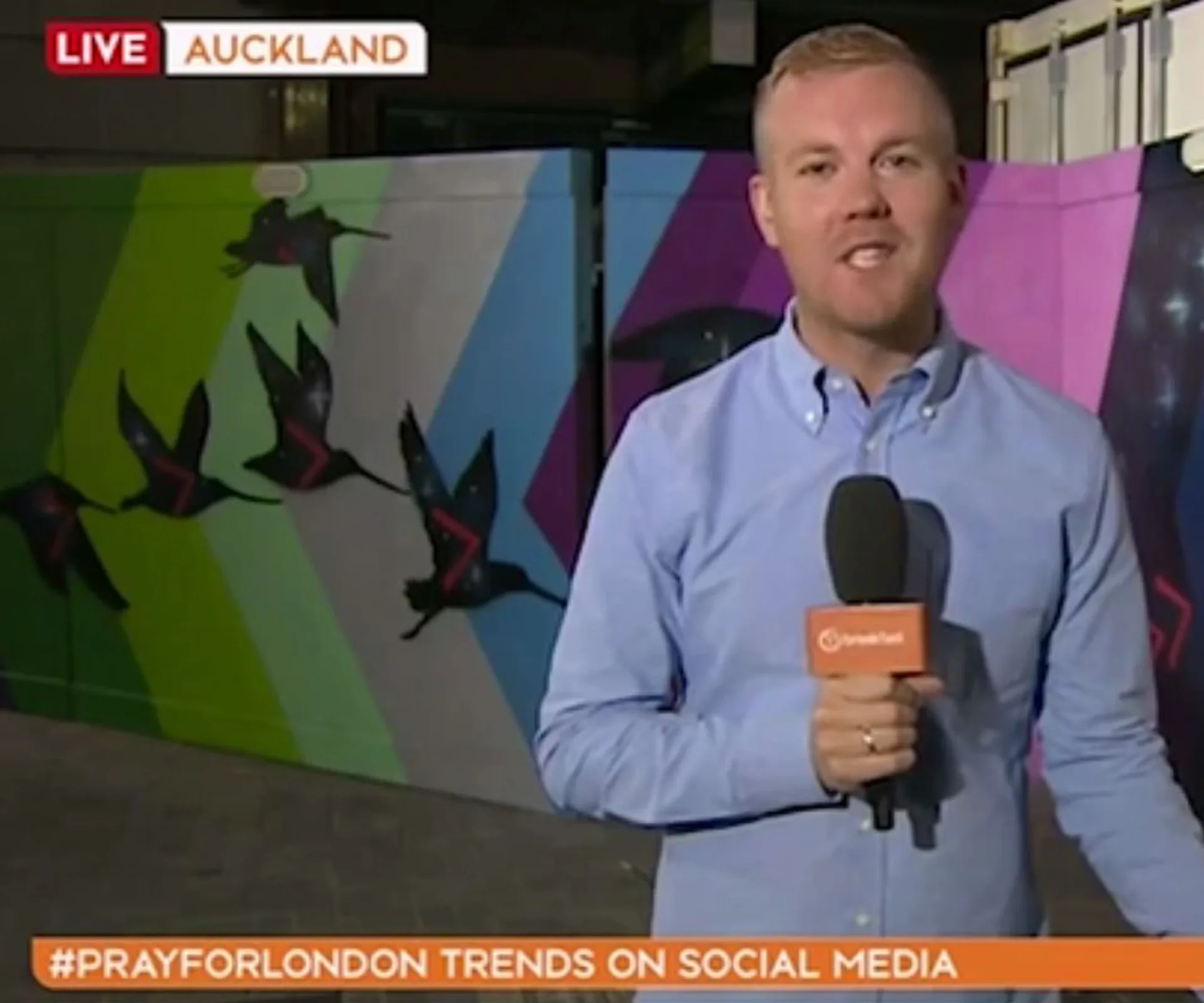 Weather presenter Matt McLean accidentally swears on live television. 