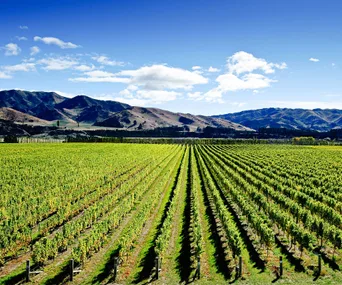 5 reasons to love Marlborough