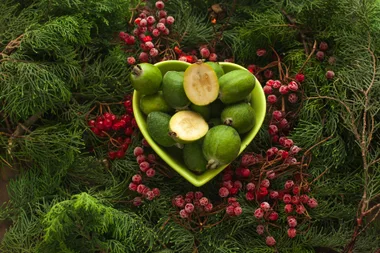 The best feijoa recipes you will ever need