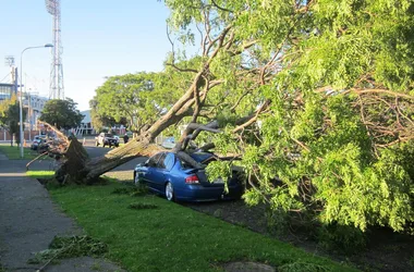 Cyclone Cook: The aftermath in pictures