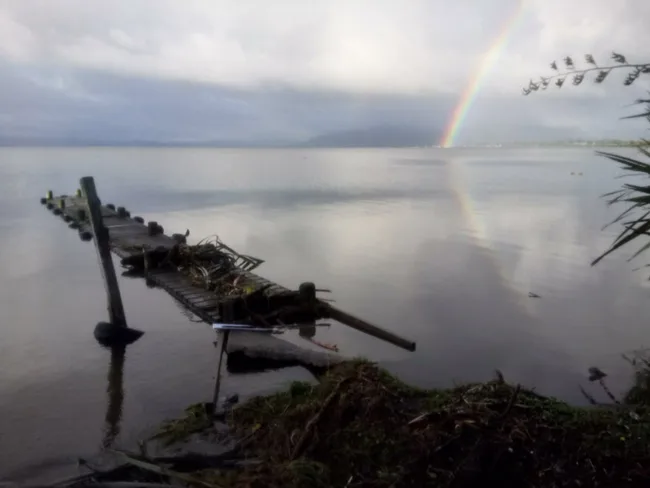 Cyclone Cook Cyclone Cook: The aftermath in pictures