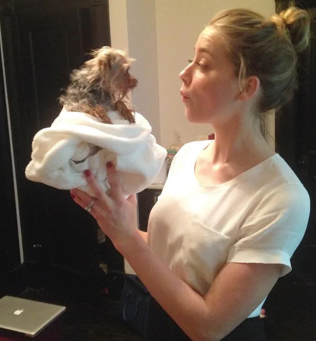 A woman holding a small dog wrapped in a towel, gazing affectionately at it.