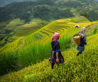 Travel to…Vietnam