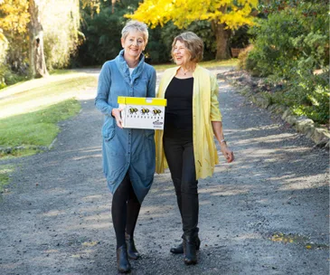 Why these women are saving Christchurch’s bees