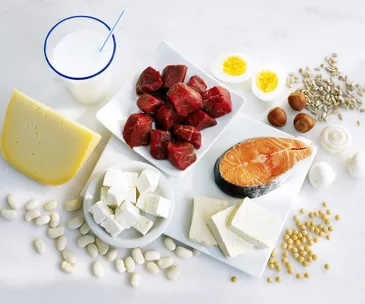 Everything you need to know about protein